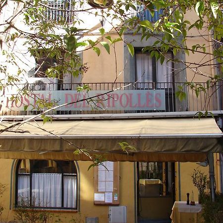 Hostal Del Ripolles Exterior foto